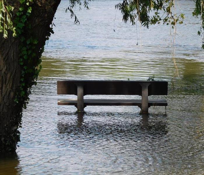 flood, bench